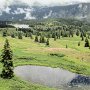 Drive to Silverton