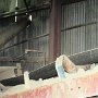 Silverton - Mayflower Mill Tour