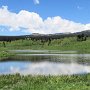 Rabbit Ears Pass