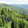 Steamboat Springs - Gondola View from Upper Station