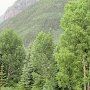 Telluride - Camel's Garden Hotel Suite View