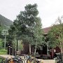 Telluride