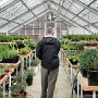 Akureyri - Botanic Garden