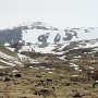                                Driving to Snaefellsjokull National Park