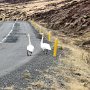 Drive to Isafjordur