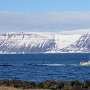 Drive to Isafjordur