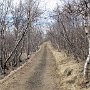 Myvatn - Hofdi