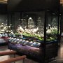 Myvatn - Sigurgeir's Bird Museum