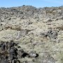 Snæfellsjökull N.P. - Moss Covered Lava Field
