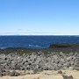 Snæfellsjökull N.P. - Falki