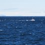 Snæfellsjökull N.P. - Coast Guard Boats