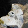 Snæfellsjökull N.P. - Gufuskalavor Whale Pelvis @ Well