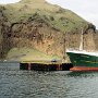 Vestmannaeyjar - Port