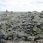 Drive to Vik - Moss Covered Lava Field
