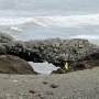 Dyrhólaey - Lava Arch