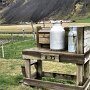 Vik - Roadside Milk Shelf