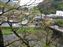Hakone-Yumoto Hotel Kajikaso - View