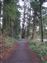 Old Tokaido Highway