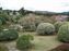 Detached Palace Garden
