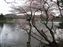 Detached Palace Garden - Lake Ashi