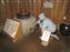 Hakone Checkpoint Museum