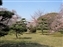 Castle garden