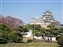 Castle garden