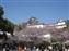 Main castle from the park below
