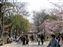 People strolling in the castle garden and park
