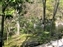 Ko-Koen Garden