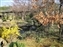 Ko-Koen Garden