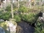 Ko-Koen Garden