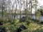 Ko-Koen Garden