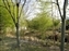 Ko-Koen Garden