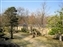 Ko-Koen Garden