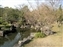 Ko-Koen Garden