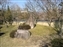 Ko-Koen Garden