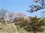 Ko-Koen Garden