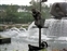 Donald Duck in fountain