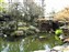 Hidden Garden Behind an Office Building
