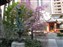 Fokkakudo Temple