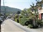 Saga Neighborhood
