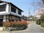 Saga Neighborhood
