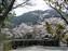 Adashino-Nenbutsuji Temple
