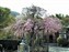 Adashino-Nenbutsuji Temple