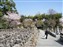Adashino-Nenbutsuji Temple