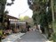 Saga Neighboorhood