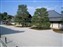 Tenryuji Temple Garden