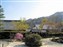 Tenryuji Temple Garden