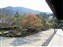 Tenryuji Temple Garden